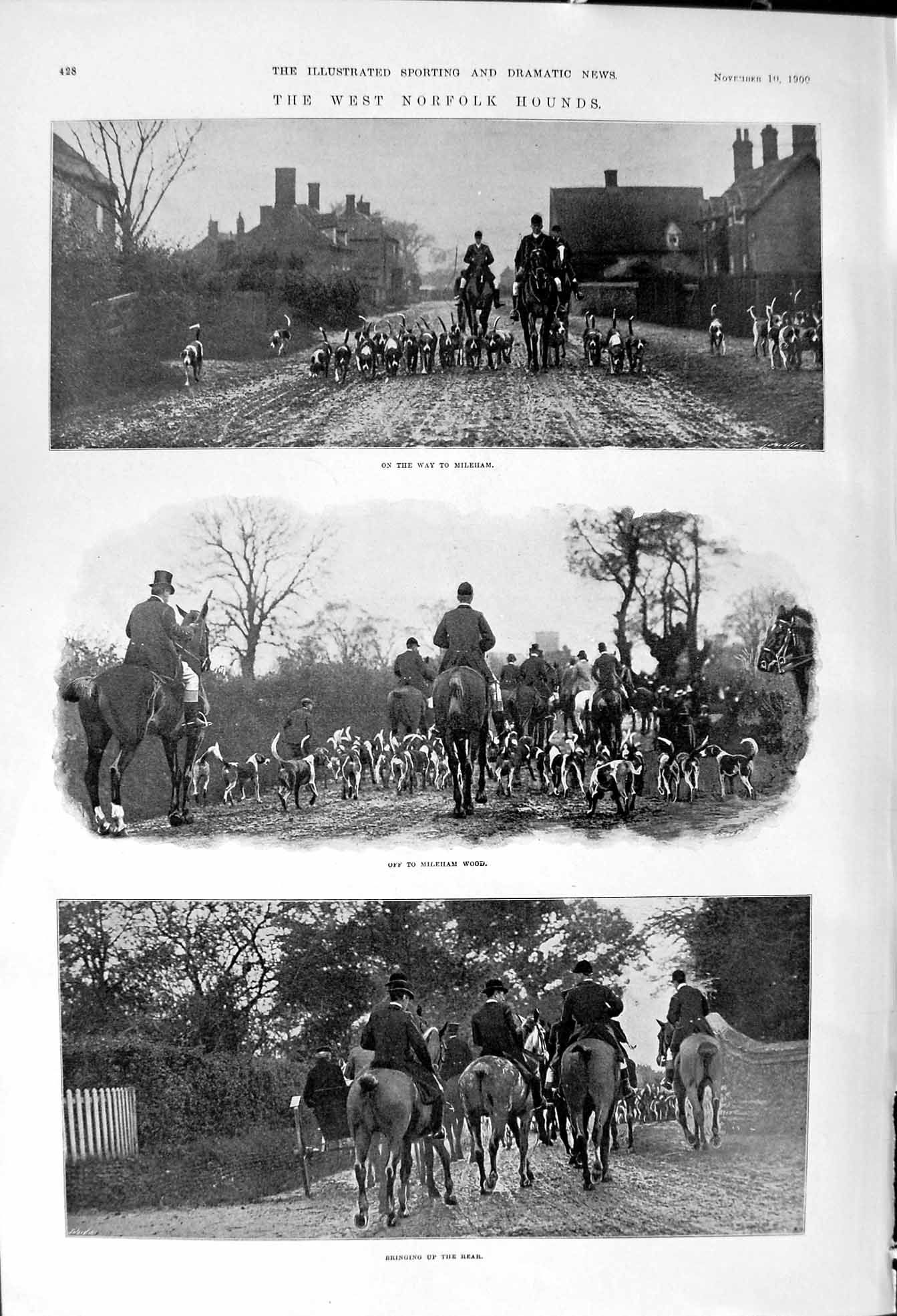 Old 1900 West Norfolk Hounds Hunting Mileham Wood Osier Bed Huntsmen Victorian