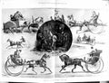 Old 1900 Horses Coaches Driving American France Italy Scandinavia Ber 20th