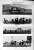 Old 1900 Lady Horse Jumping Water Woodville Tortoise Tring Warbler Bi Victorian
