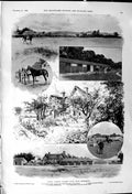 Old 1900 Horse Racing Stables Warren Farm Chichester Burbridge Golf S Victorian