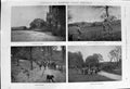 Old 1900 Hunting Shooting Rossmore Monaghan Duke Montrose Lily Hanbur Victorian