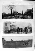 Old 1900 Essex Staghounds Hunting Dogs Coopersale Deer Pemberton Barn Victorian