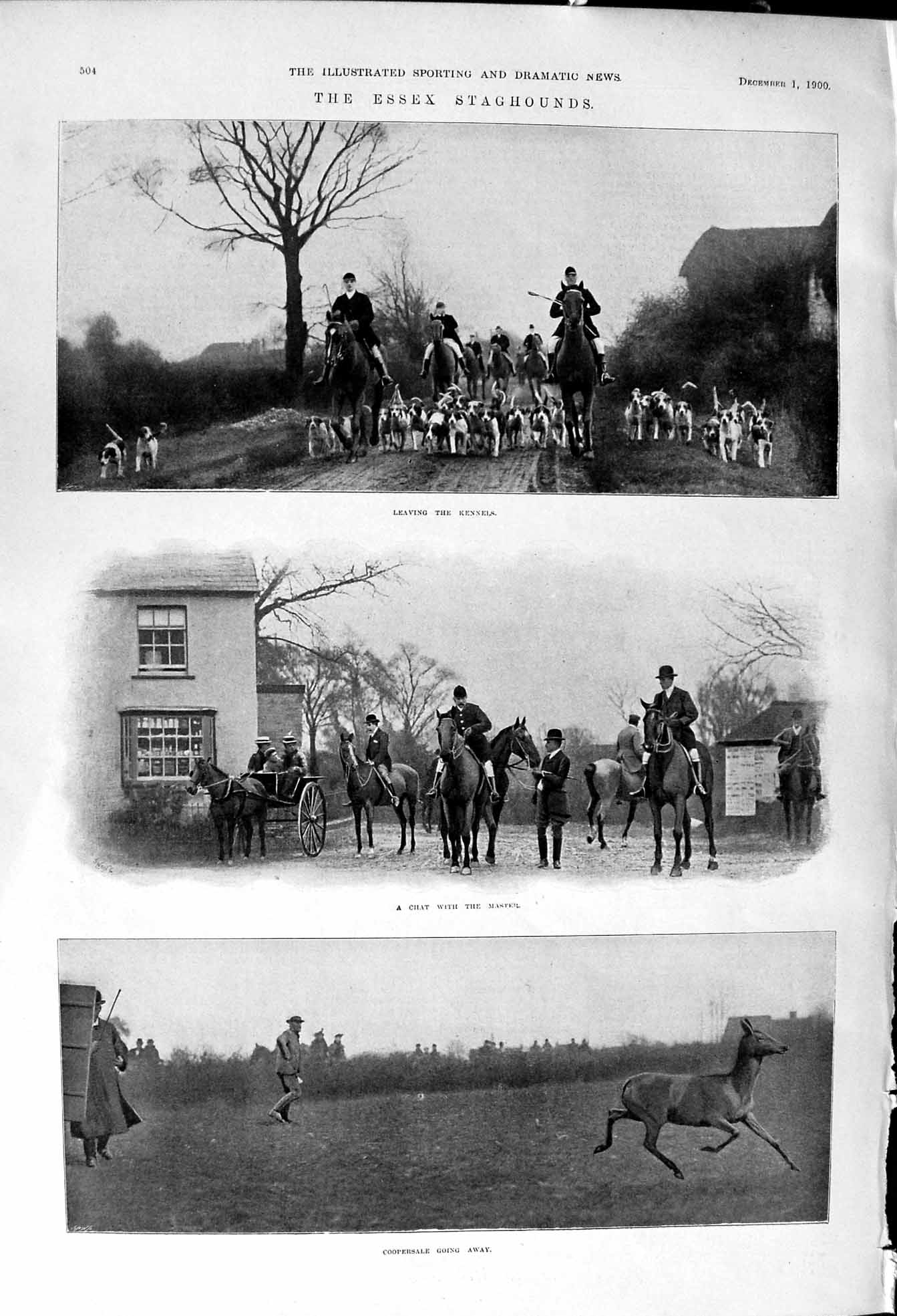 Old 1900 Essex Staghounds Hunting Dogs Coopersale Deer Pemberton Barn Victorian