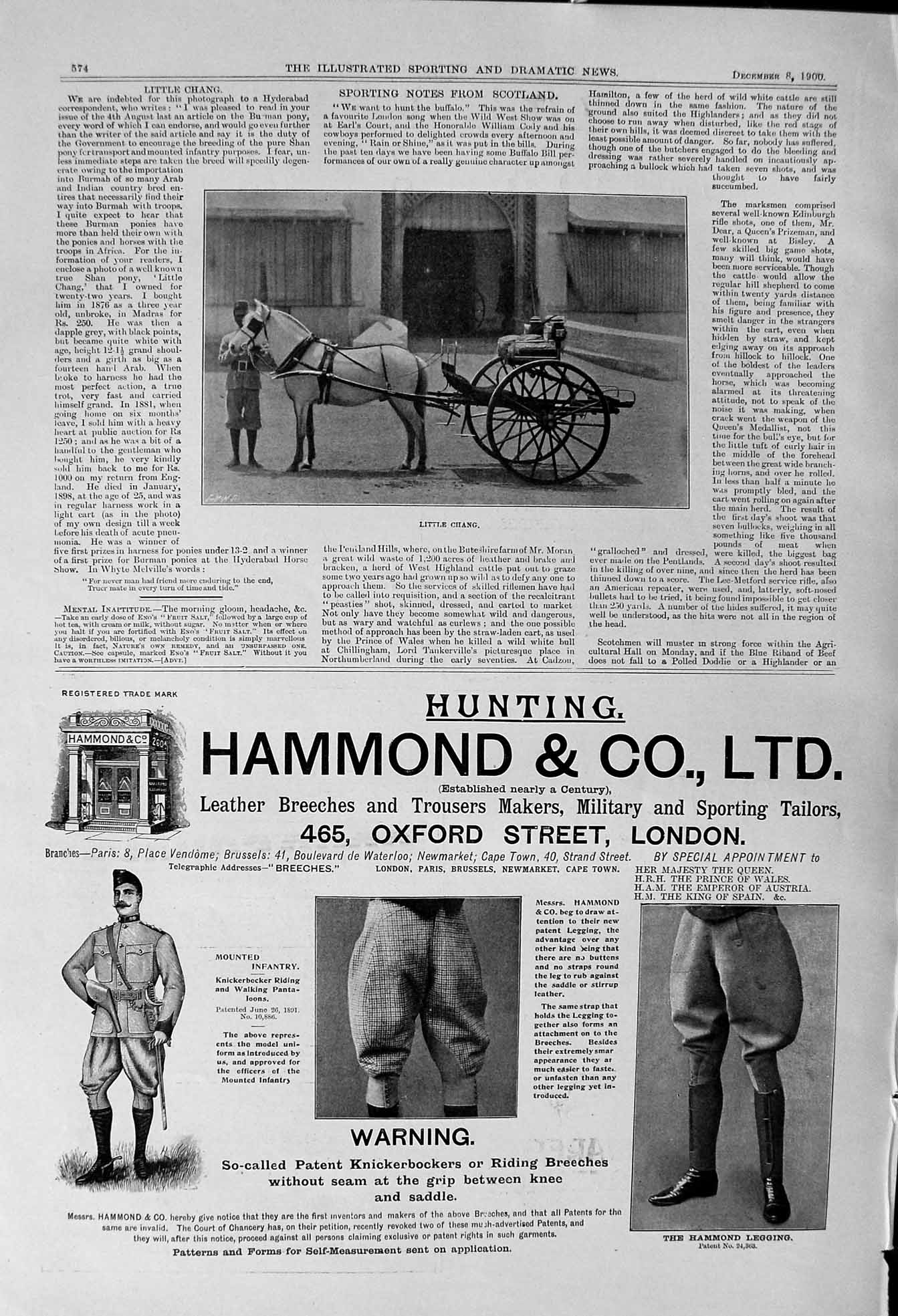 Antique Old Print 1900 Little Chang Pony Trap Burmah Hammond Hunting Leggings