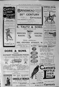 Antique Print 1900 Carters Liver Pills Brinsmead Whisky Dore Trouser Press 20th