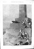 Old 1901 Duke Beaufort Hounds Dogs Islington Horse Show Starlight Lig Victorian