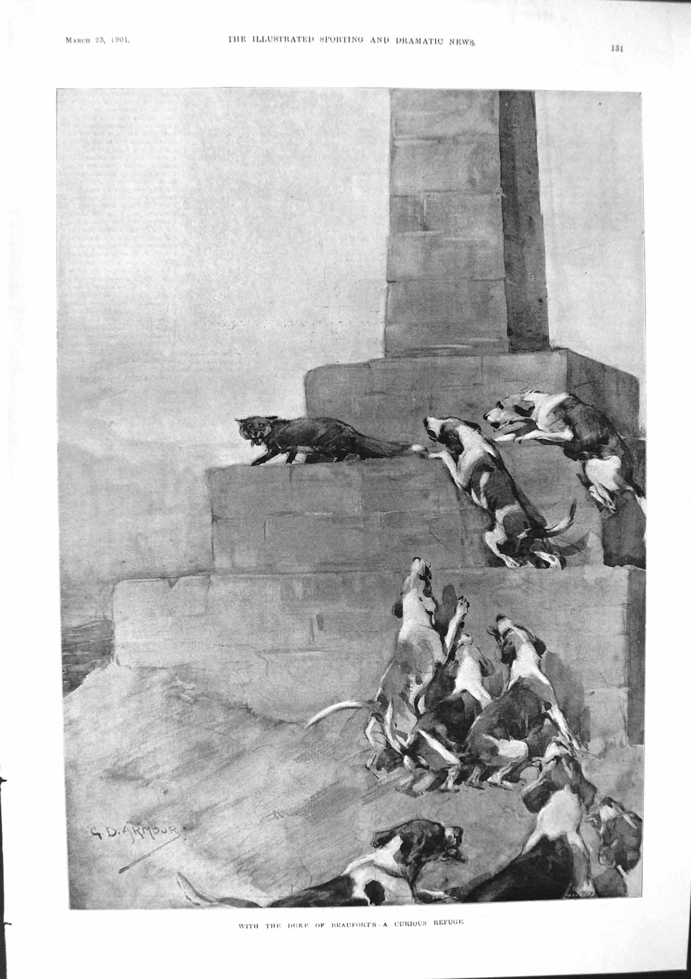 Old 1901 Duke Beaufort Hounds Dogs Islington Horse Show Starlight Lig Victorian