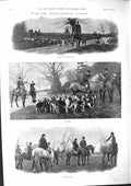 Old 1901 Hertfordshire Hounds Hunting Horses Thumbs Wood Huntsmen Spo Victorian