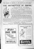 Antique Old Print 1901 Bovril Carters Grass Seeds Eno Fruit Salt Works London