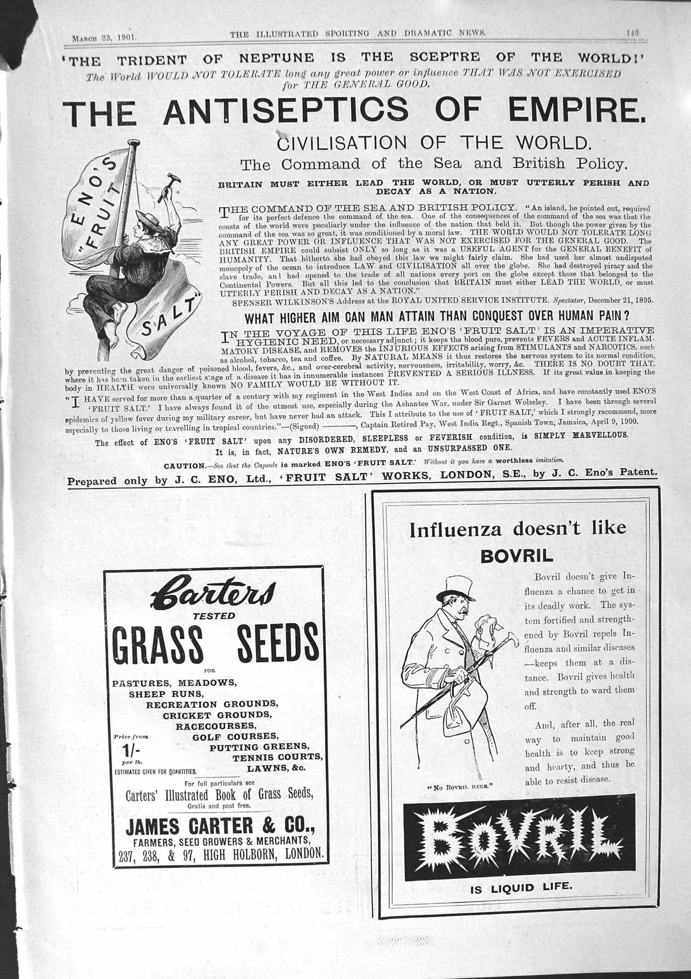 Antique Old Print 1901 Bovril Carters Grass Seeds Eno Fruit Salt Works London