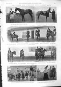 Old 1901 Oxford Cambridge Point-To-Point Horses Bell Broadley Helmsle Victorian