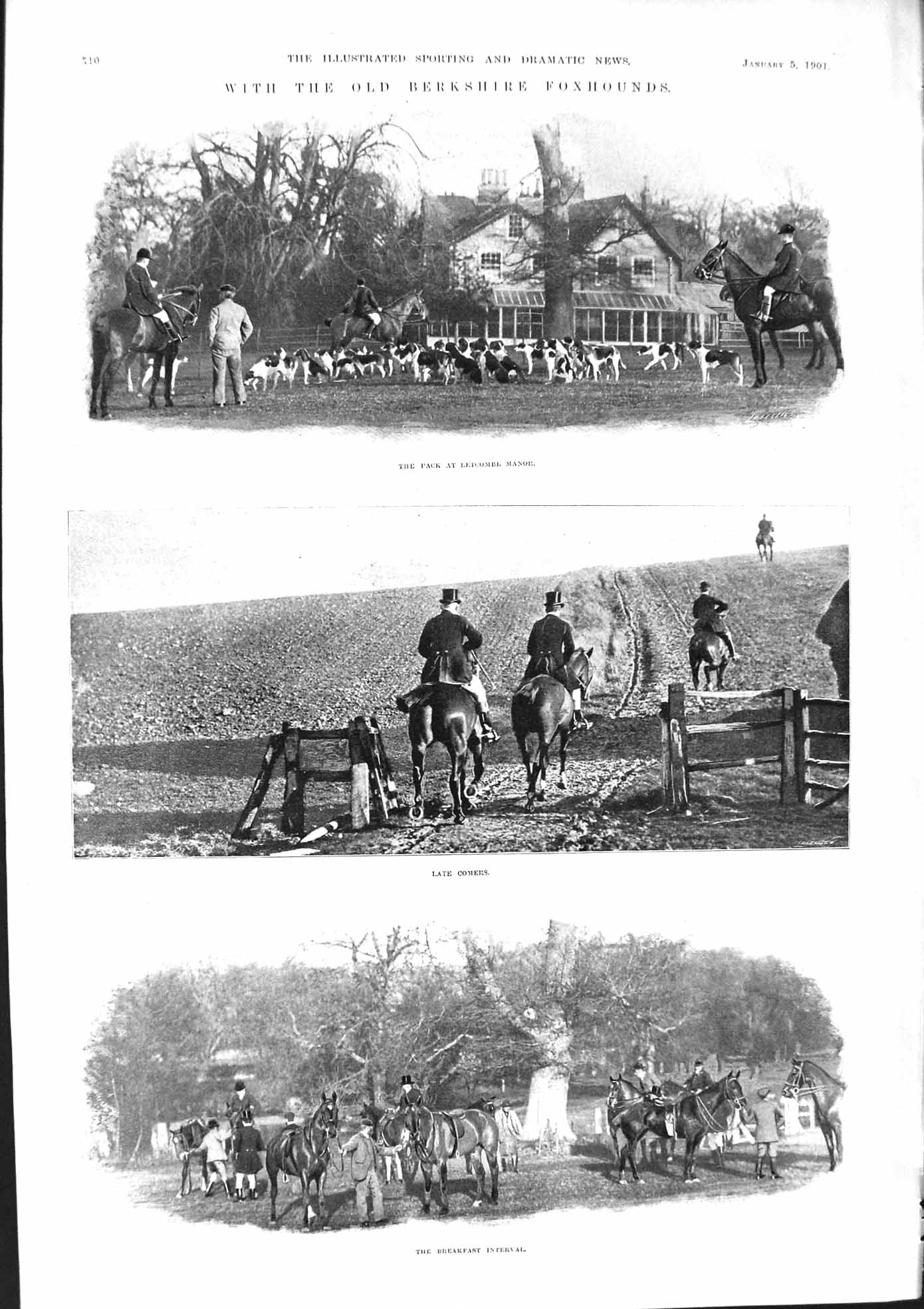 Old 1901 Berkshire Foxhounds Letcombe Manor Hunting Horses Dogs Sport Victorian
