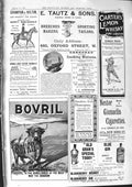 Old 1901 Tautz Carter'S Lemon Whisky Bovril Blackberry Brandy Sloe Gi Victorian