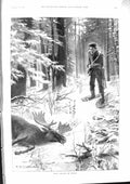 Old 1901 Moose Shooting Canada Graham Coursing Kennels Carlisle Guttl Victorian