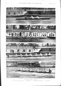 Old 1901 Oxford Boat Race Warre River Thames Brooke Western Close Gry Victorian