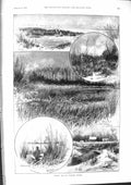 Old 1901 Winter Norfolk Broads Walsham Duck Shooting Hamburg Horse Da Victorian