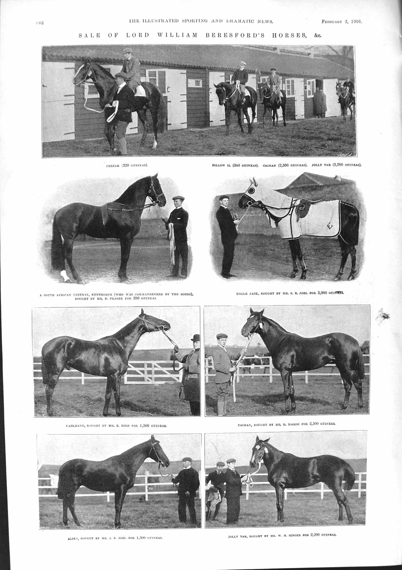 Old 1901 Sale Lord Beresford Horses Nunthorpe Alien Jolly Tar Caiman Victorian