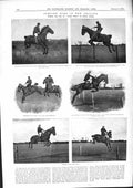 Old 1901 Horse Jumping Wire Carlyon Daddy Lyon Stead Proverb Lahinch Victorian