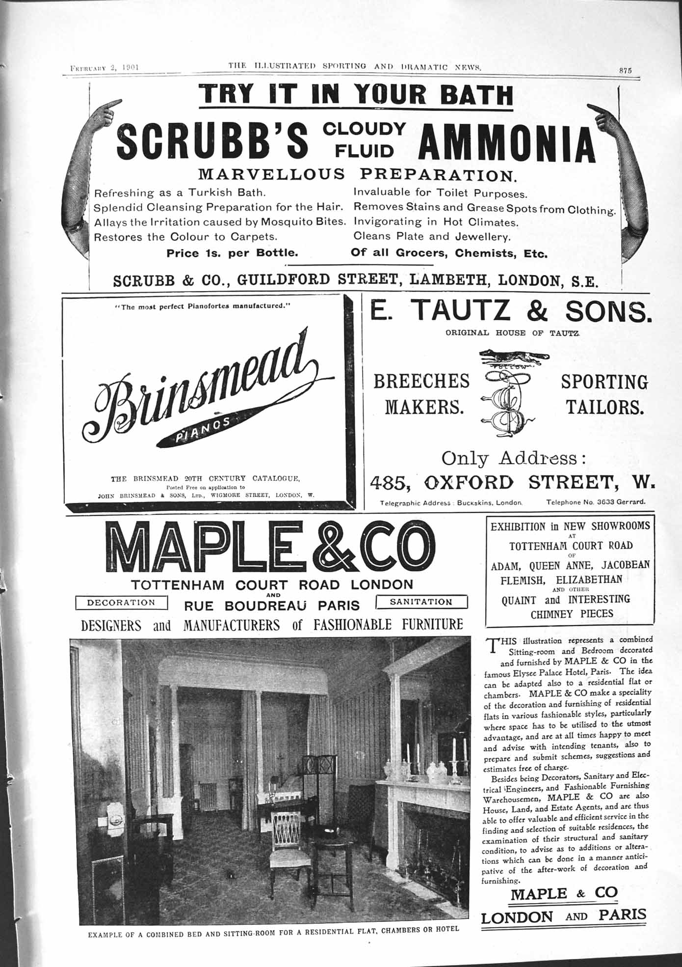 Antique Print 1901 Scrubb'S Ammonia Brinsmead Tautz Maple Furniture London 20th