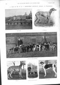 Old 1901 Anstruther Greyhound Kennels Thankerton Dogs Astrology Alloy Victorian