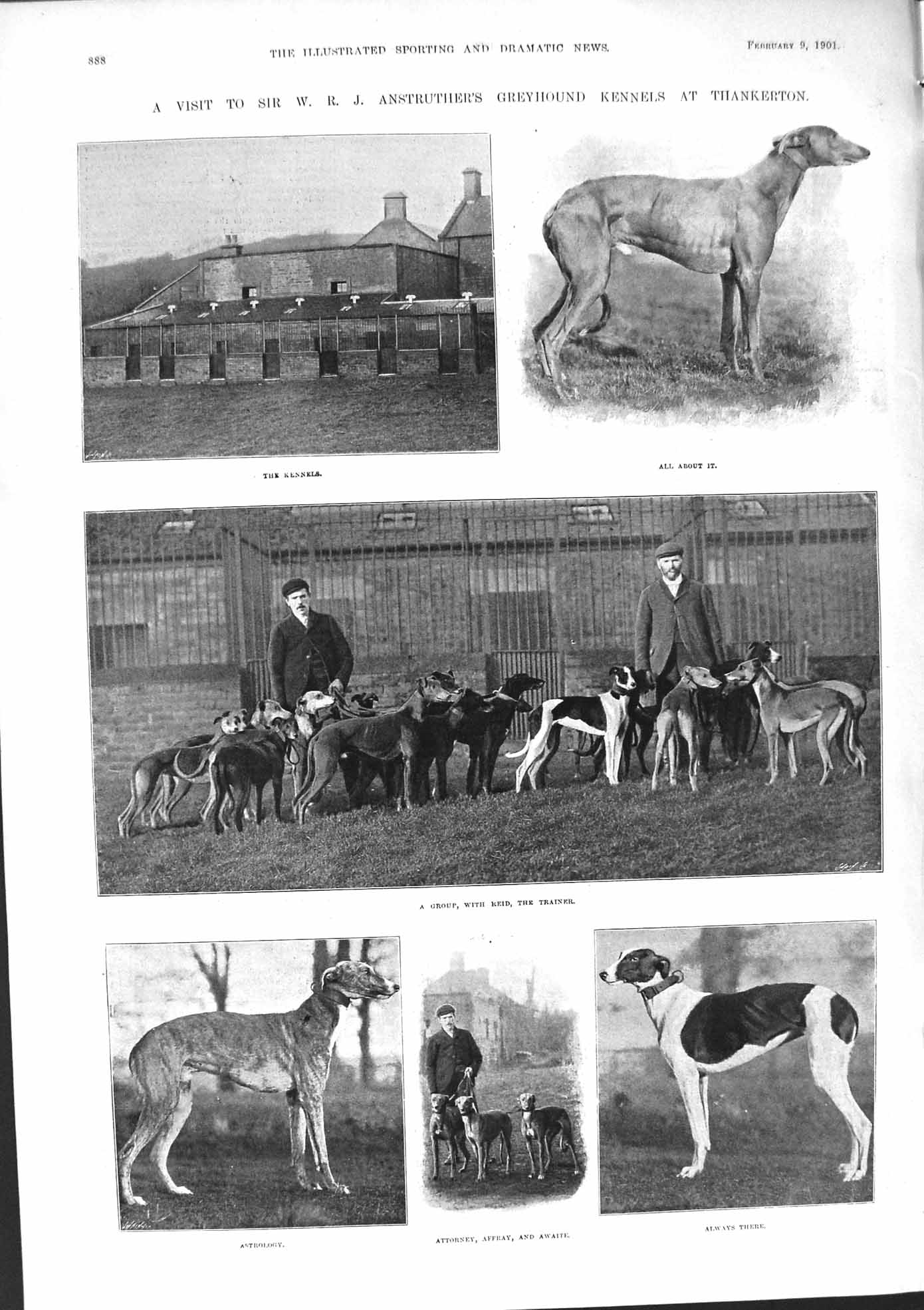 Old 1901 Anstruther Greyhound Kennels Thankerton Dogs Astrology Alloy Victorian