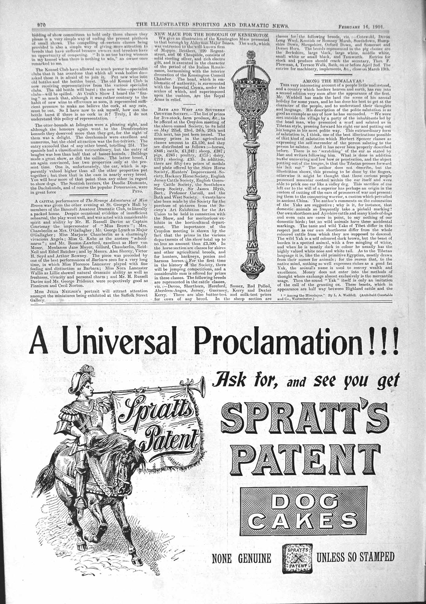 Old 1901 Mace Borough Kensington Spratt'S Patent Dog Cakes Druce Pept Victorian
