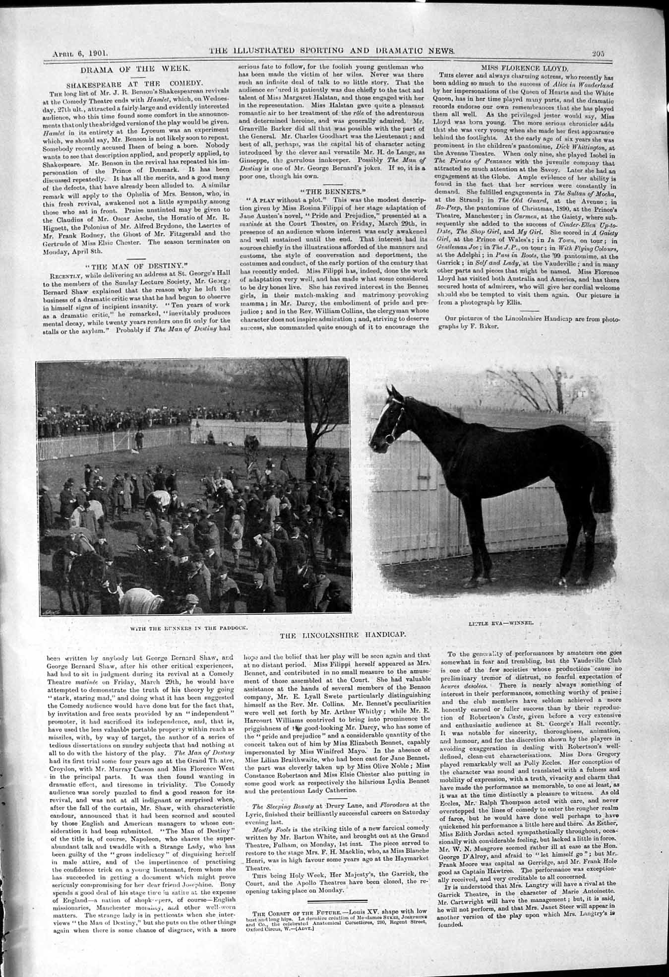 Old 1901 Lincolnshire Handicap Horse Racing Little Eva Paddock Sport Victorian