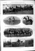 Old 1901 Nazeing Horses Bucknill Jack Philipotts Butcher Hopley Smith Victorian