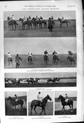 Old 1901 Newmarket Craven Horse Racing Sport Bernard Sacripant Volody Victorian