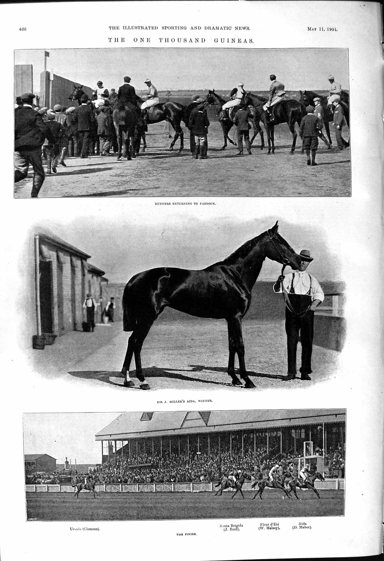 Old 1901 Horse Racing Miller Aida Ursula Clemson Reiff Halsey Maher P Victorian