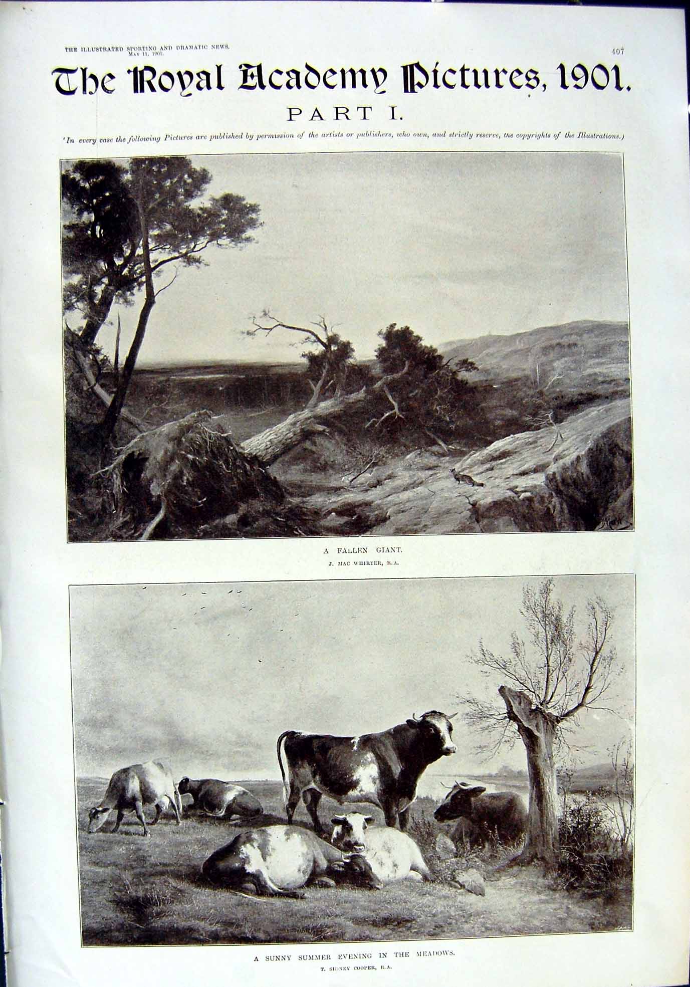 Old 1901 Royal Academy Art Tree Whirter Cows Swanage Edinburgh Khalif Victorian