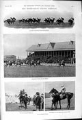 Old 1901 Newmarket Horse Racing Veles Madden Handicapper Halsey Sievi Victorian