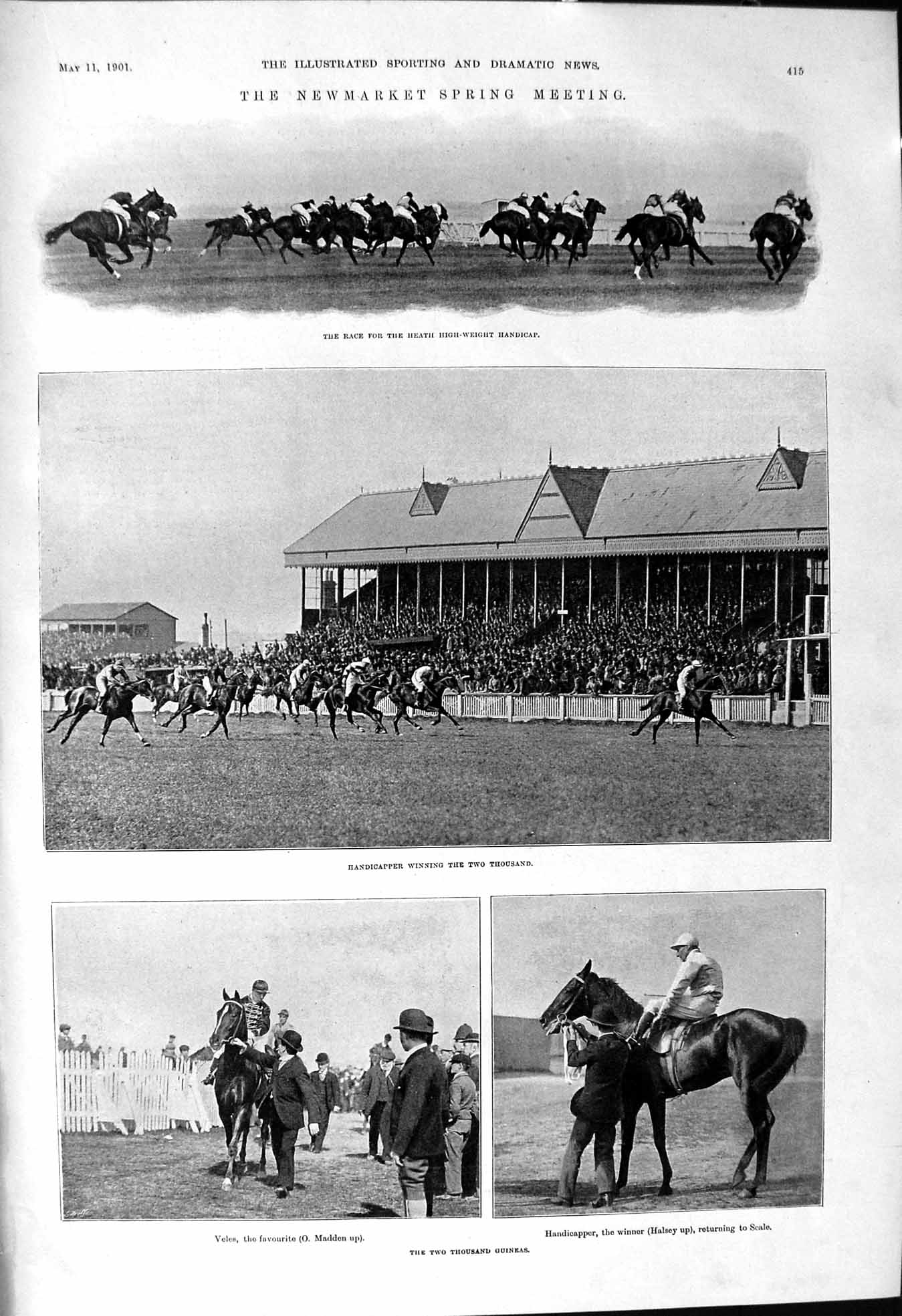 Old 1901 Newmarket Horse Racing Veles Madden Handicapper Halsey Sievi Victorian