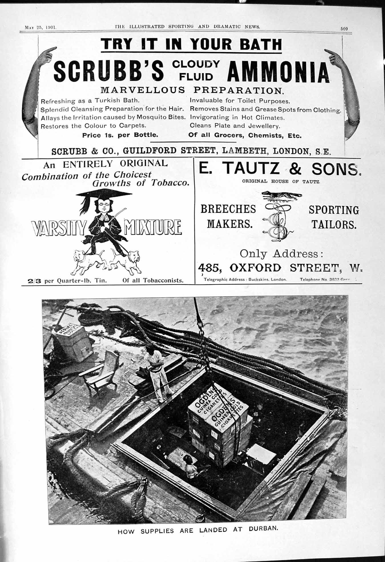 Old 1901 Scrubb Ammonia Tautz Varsity Tobacco Trafford Cricket Hornby Victorian