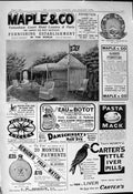 Old 1901 Maple Furnishings Maple Carter'S Liver Pills Bensons Watches Victorian