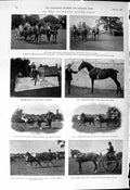 Old 1901 Richmond Horse Show Walter Winan Yelverton Purity Wertheimer Victorian