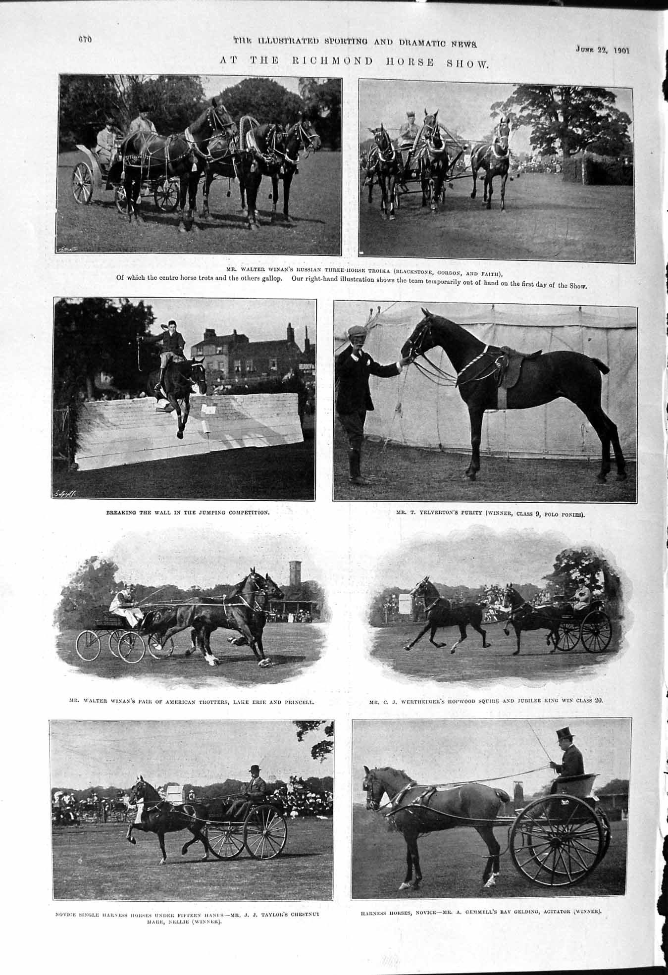 Old 1901 Richmond Horse Show Walter Winan Yelverton Purity Wertheimer Victorian