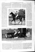 Old 1901 Grand Prix Paris Horse Racing Caillault Cheri Poulains Horse Victorian