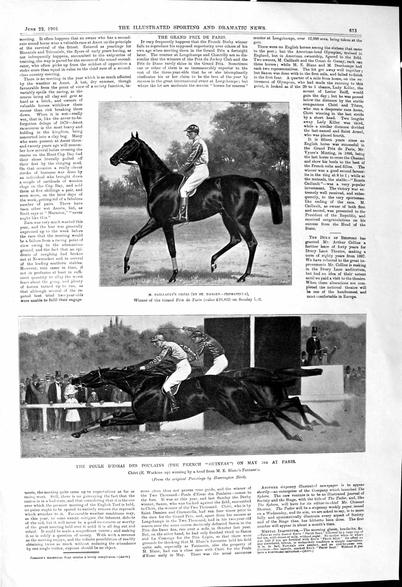Old 1901 Grand Prix Paris Horse Racing Caillault Cheri Poulains Horse Victorian