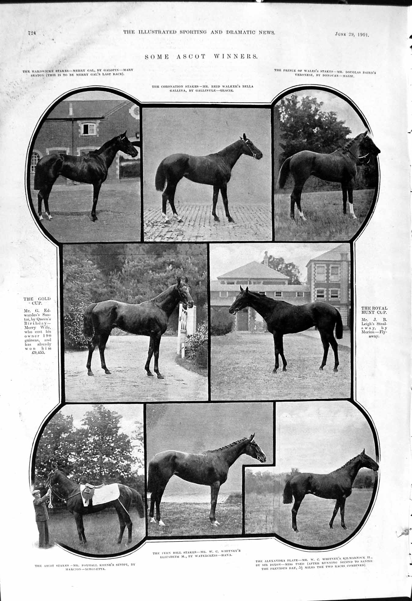 Old 1901 Ascot Horses Edwarde Whitney Kenne Dewar Forfarshire Santoi Victorian