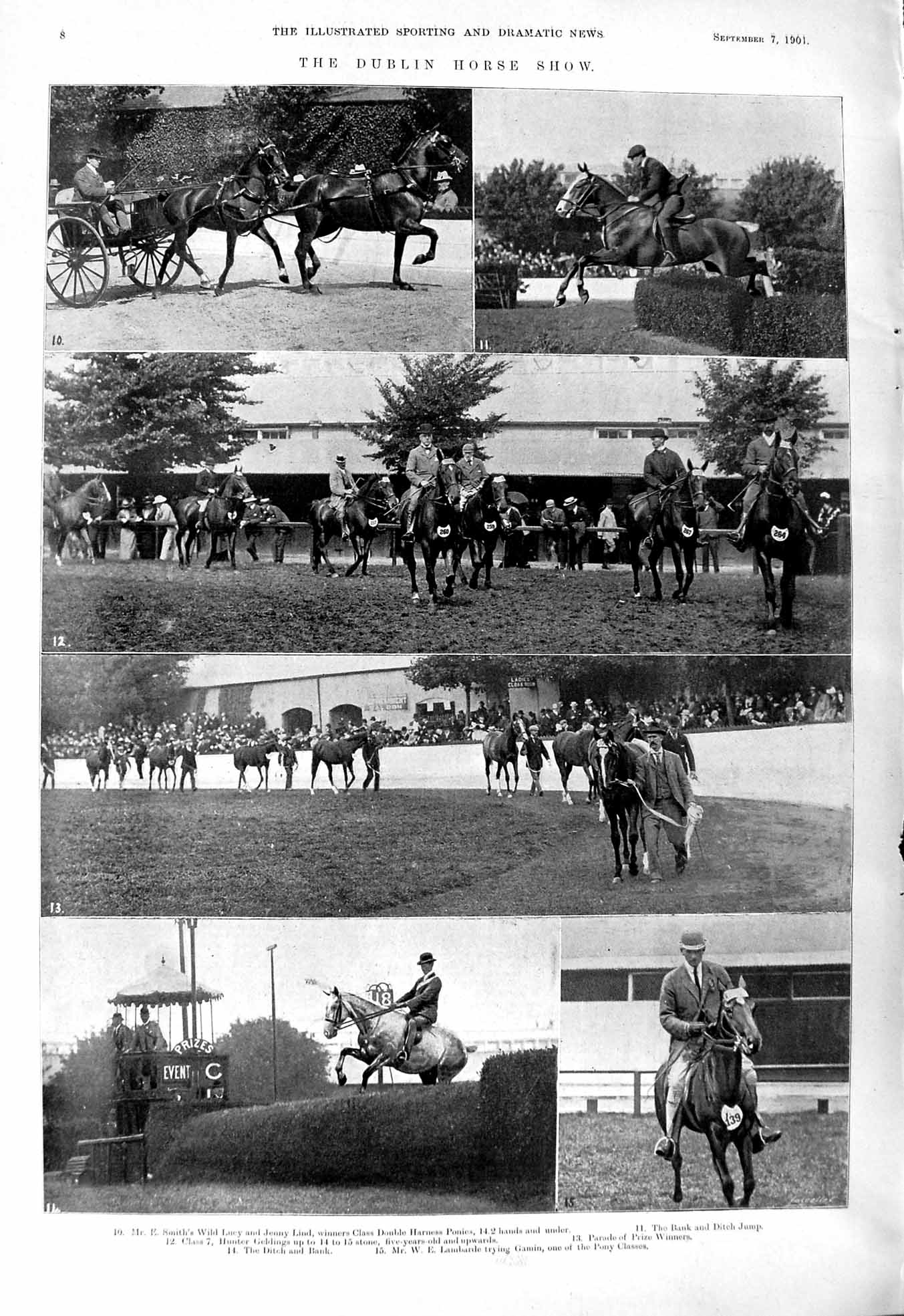 Old 1901 Dublin Horse Show Smith Lambarde Gamin Hunters Geldings Jump Victorian