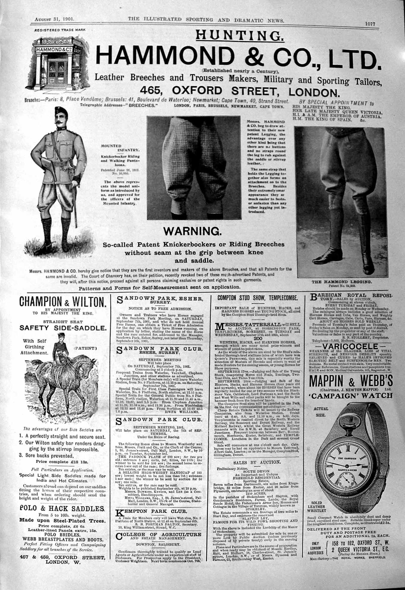 Old Print 1901 Hammond Hunting Mappin Webb Cycling Feat Alhambra Theatre 20th