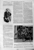 Old 1901 Lane Densham Bayonet Horse Hawkstone Sands Beach Scene Black Victorian