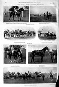 Old 1901 Hurst Park Horse Racing Lavengro Levan Dixie Lord Stanley Fl Victorian