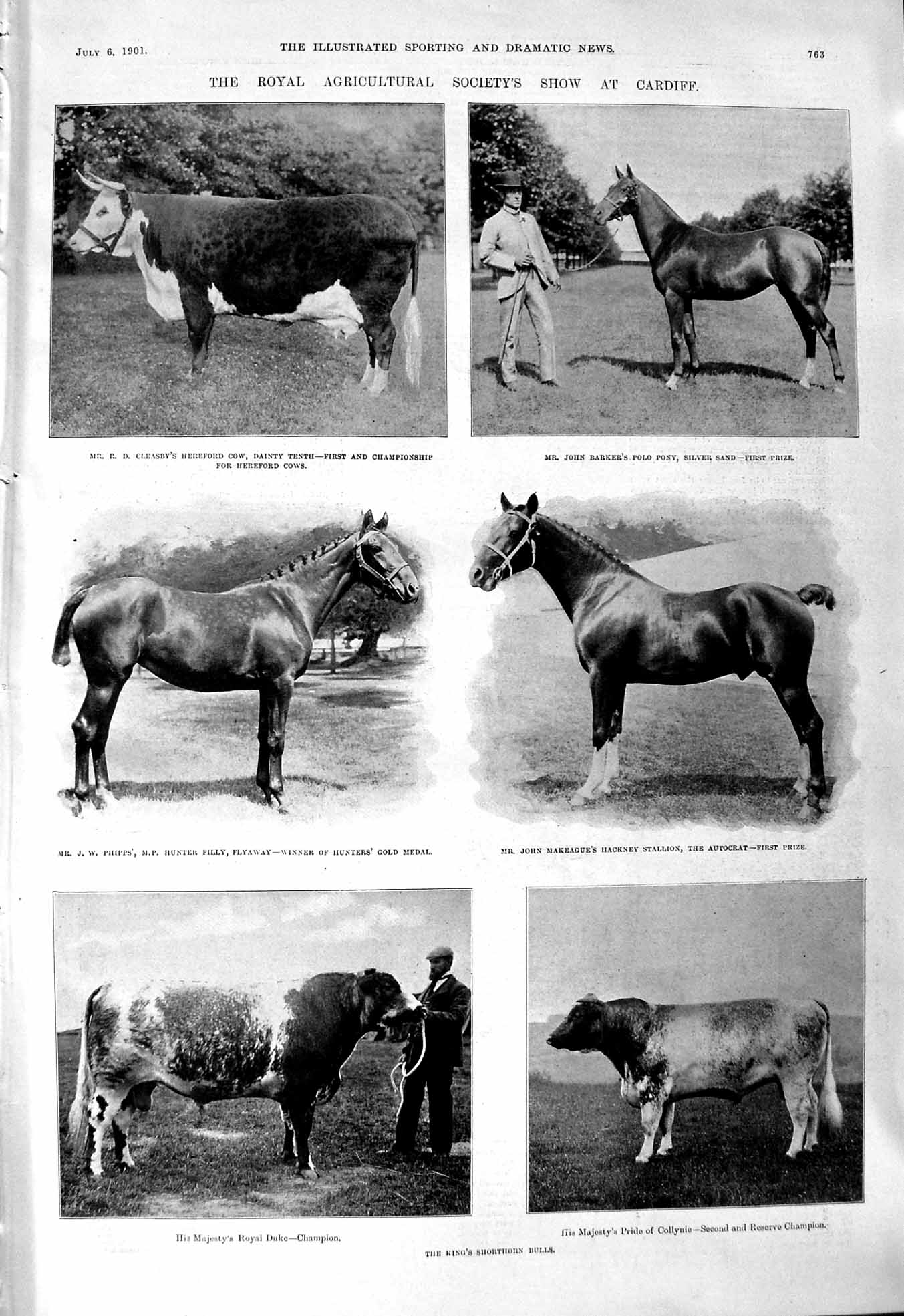 Old 1901 Agricultural Show Cardiff Phipps Makeague King Bulls Cricket Victorian
