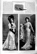 Old 1901 Miss Margaret Sayre Fanchon Thompson Peacock Bird Warwick Ca Victorian