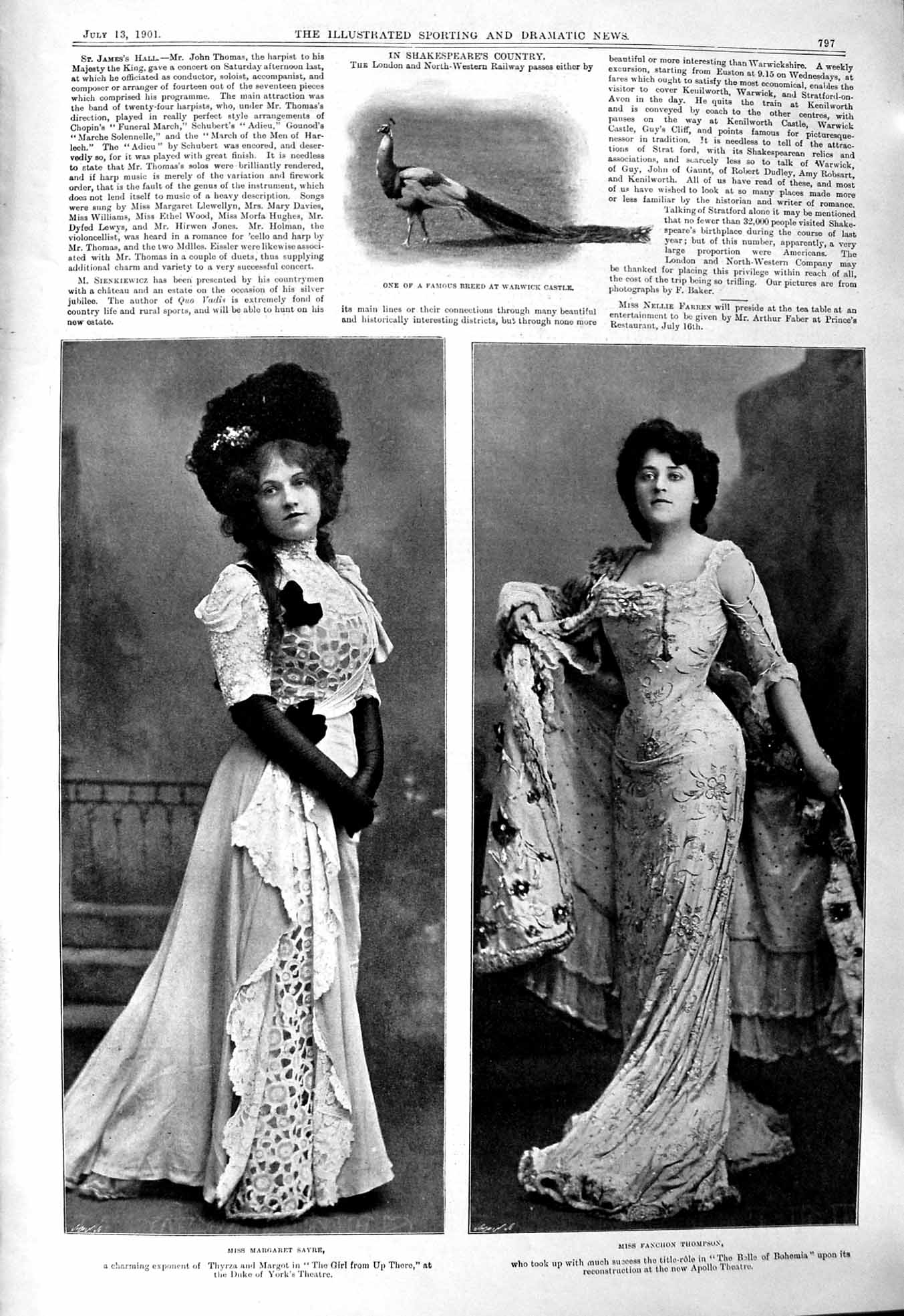 Old 1901 Miss Margaret Sayre Fanchon Thompson Peacock Bird Warwick Ca Victorian