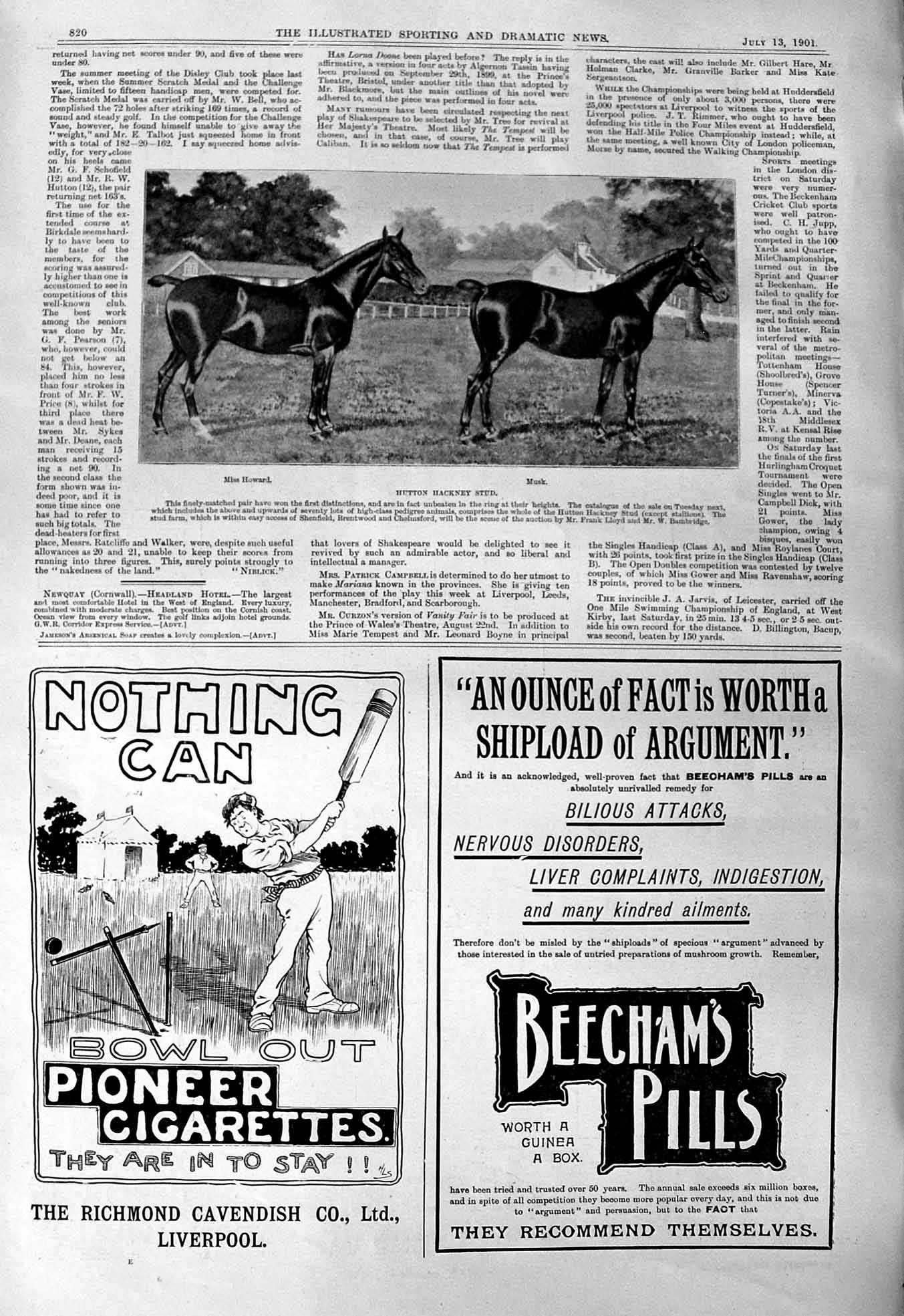 Antique Old Print 1901 Hutton Hackney Stud Horses Musk Howard Beechams Pills G