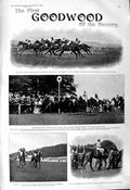 Old 1901 Goodwood Horse Racing Rossa Gibson Singer Madden Blundell Ri Victorian