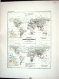 Antique Old Print Johnston Map 1856 Geographical Mammiferous Animals Rodentia